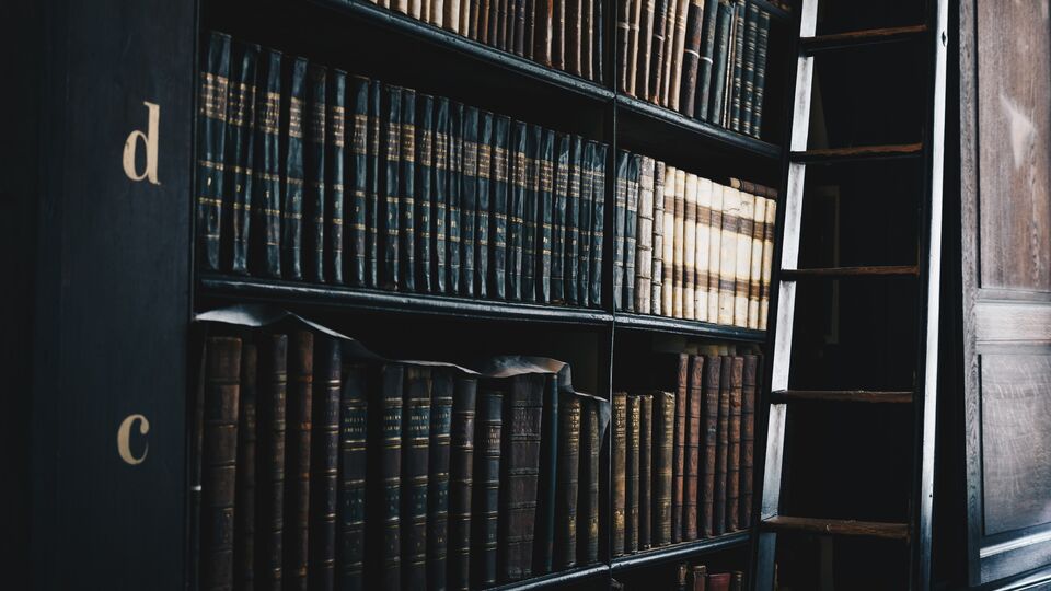 Dark-coloured books on a library bookshelf